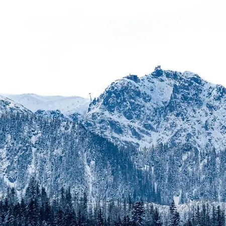 Golden - Mountain View - Taternik Zakopane
